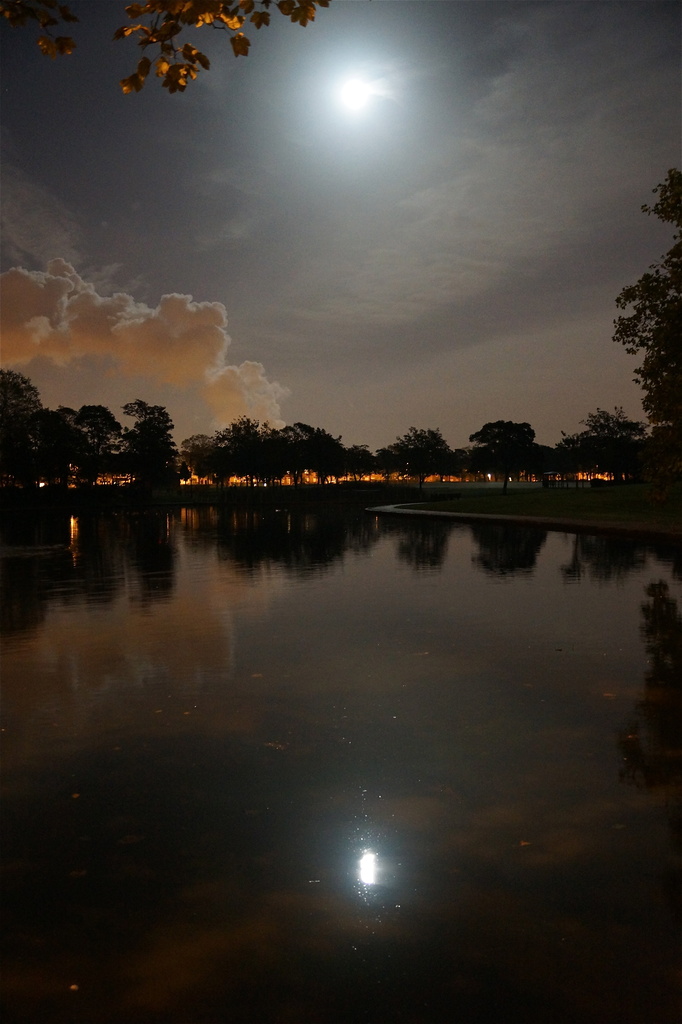 MOON POND by markp