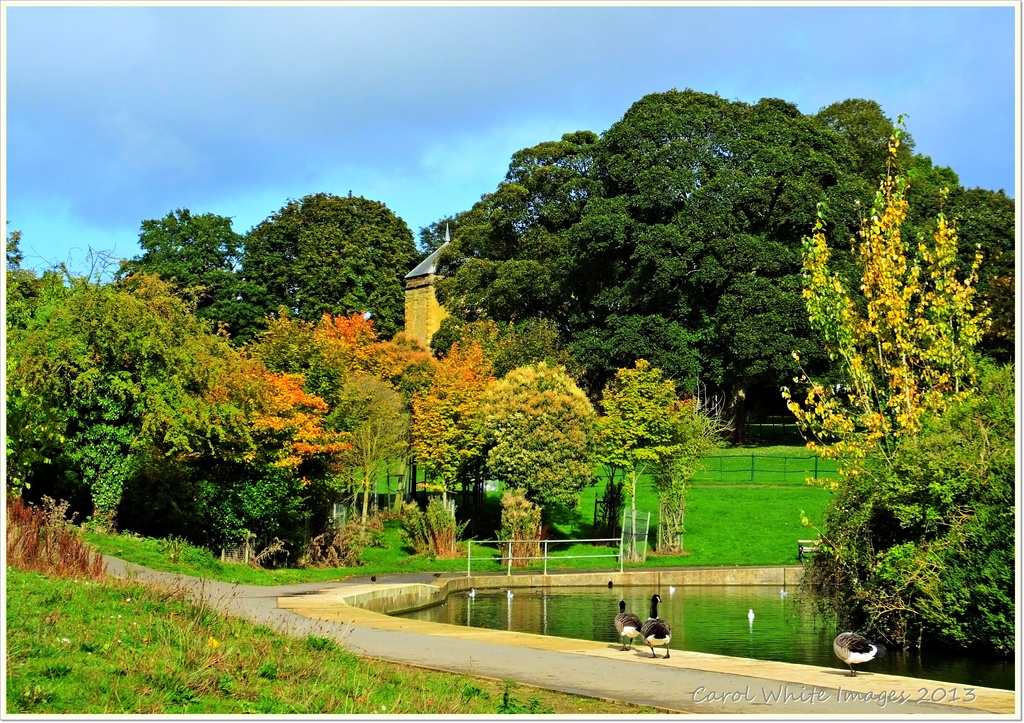 Abington Park,Northampton by carolmw