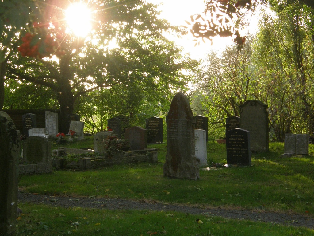  A spot on the graveyard ! by beryl