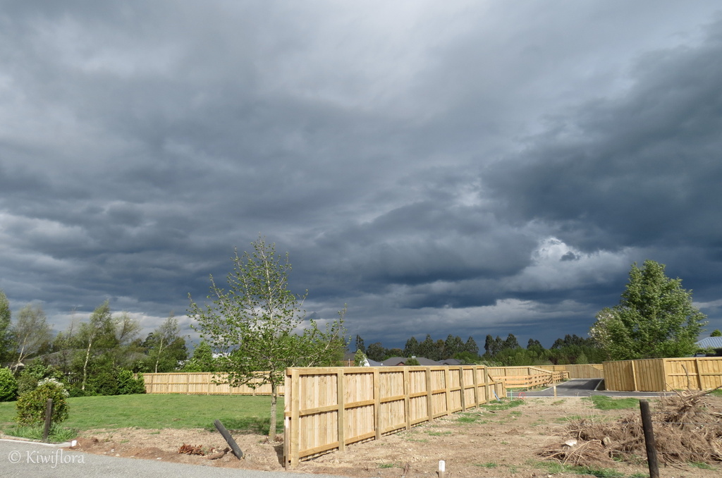 Storm clouds by kiwiflora