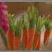 Carrots - A Still Life by byrdlip