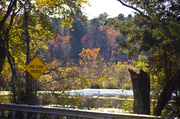 20th Oct 2013 - Fall at Pancoast Mill II