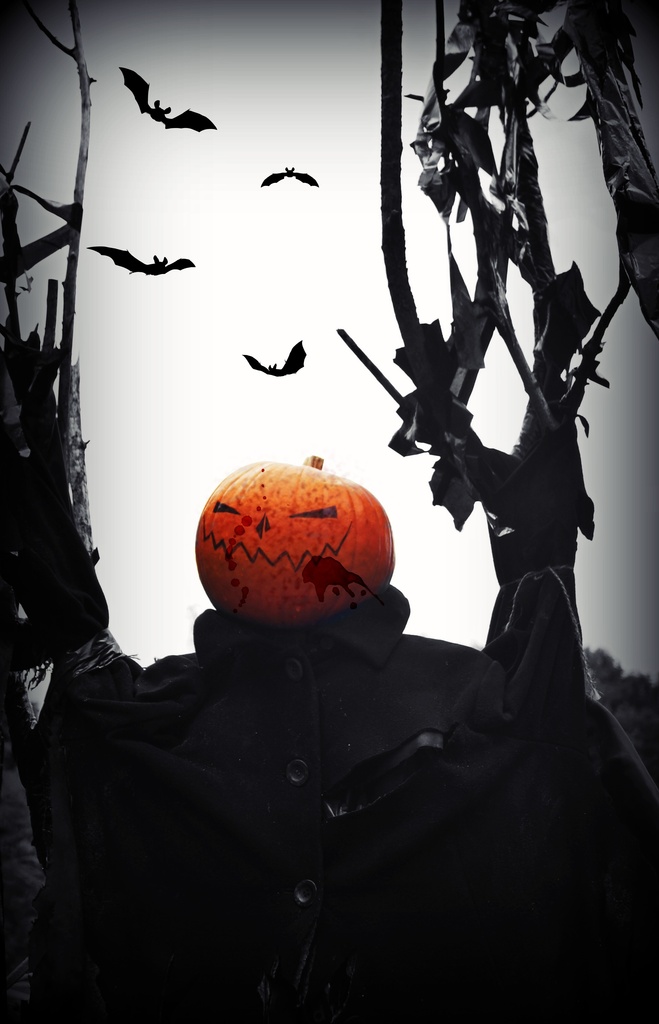 Umm...Zombie Pumpkin Scarecrow.... by jesperani