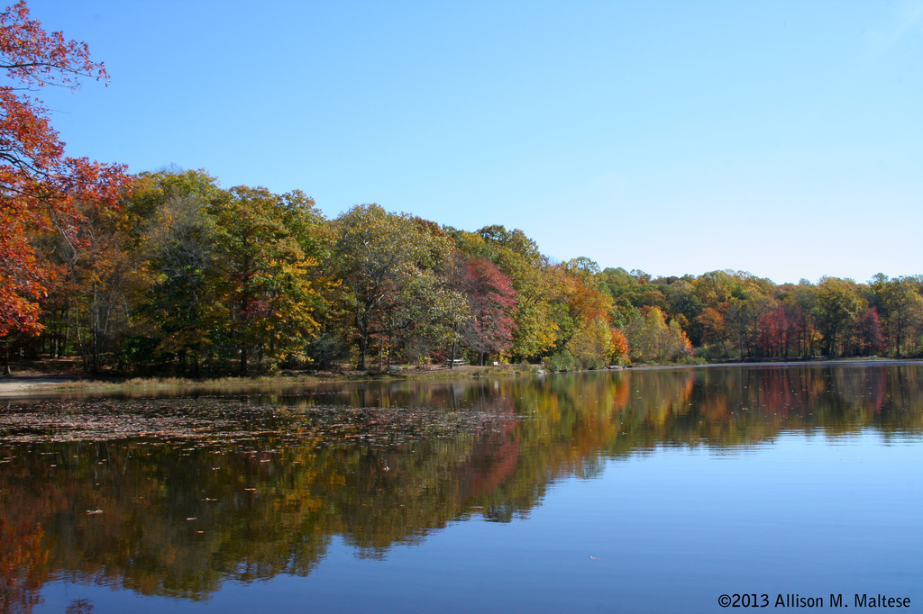 Day Pond State Park by falcon11