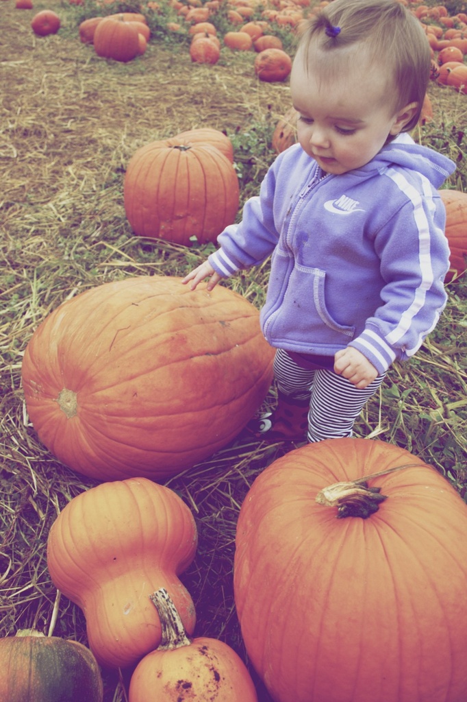 Pumpkin Patch Day! by tina_mac