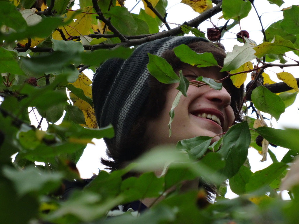 Day 138 Boy in a Tree by rminer