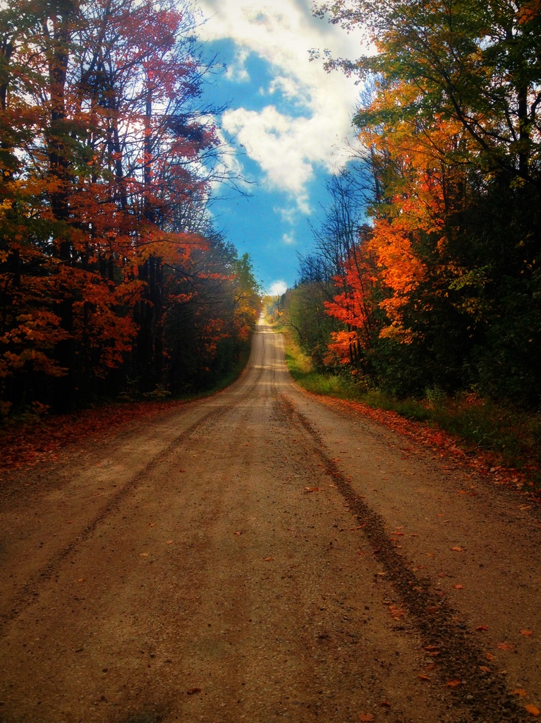 autumn road by edie
