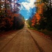 autumn road by edie