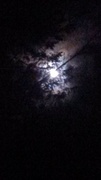 15th Oct 2013 - Eerie moon    365-288