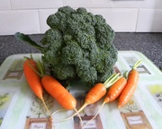 16th Oct 2013 - Broccoli and Carrots