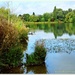 Delapre Park Lake by carolmw