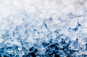 21st Oct 2013 - Ice Crystals