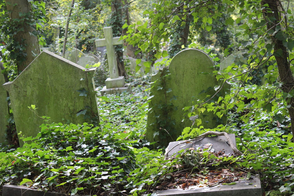 Highgate Cemetery by mariadarby