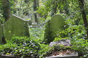 20th Oct 2013 - Highgate Cemetery