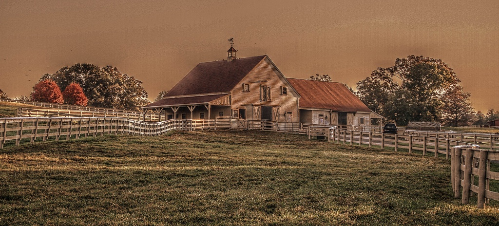 Stable by sbolden