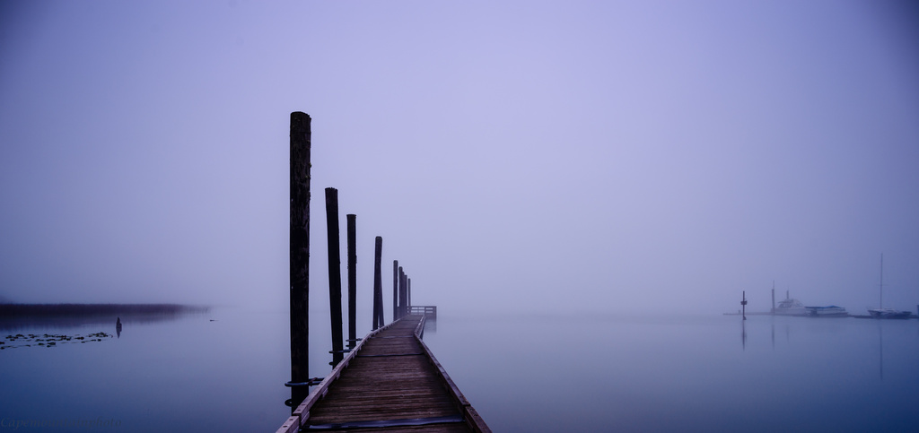 Into the Fog by jgpittenger