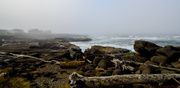 20th Oct 2013 - Foggy Morning In Yachats