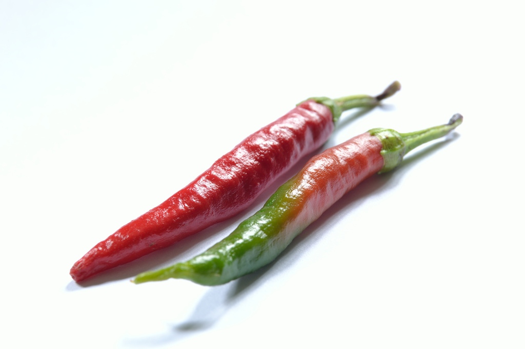 Home grown Chillies by richardcreese