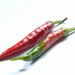 Home grown Chillies by richardcreese