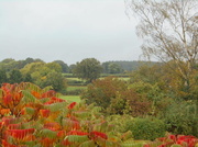 22nd Oct 2013 - An Autumn view....