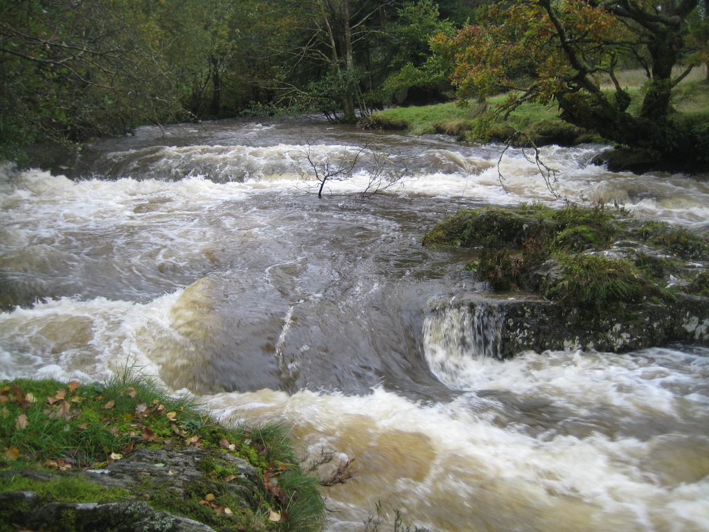 The River Irfon in full spate by susiemc