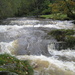 The River Irfon in full spate by susiemc