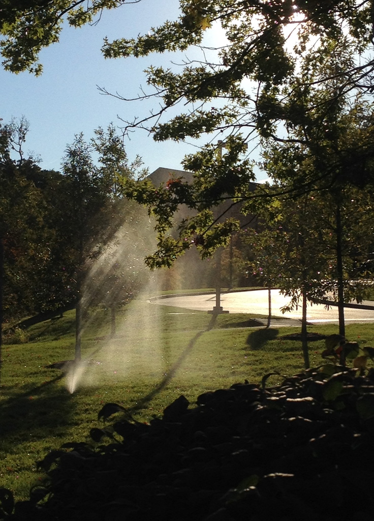 Sprinklers and Sunlight by rosiekerr