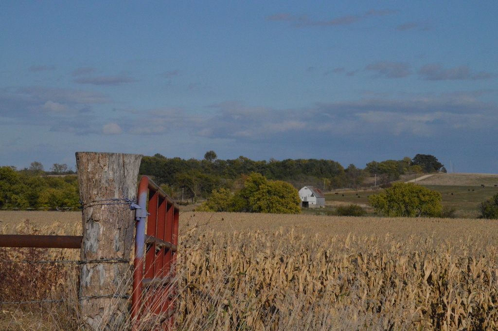 The Red Gate to Kansas Country by kareenking