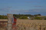 22nd Oct 2013 - The Red Gate to Kansas Country