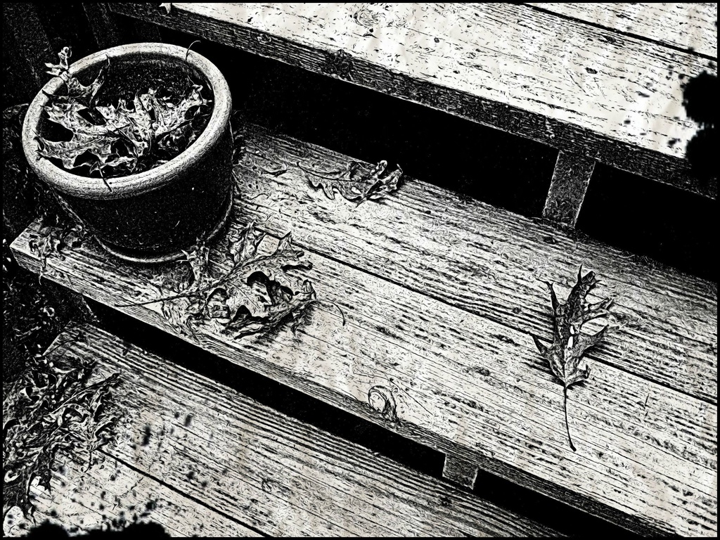 Leaves on the Steps  by olivetreeann