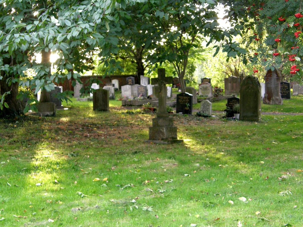 Grave-yard  by beryl