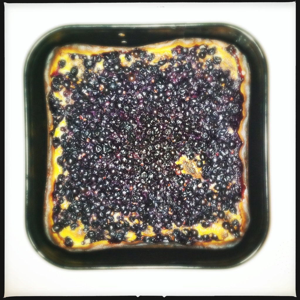 Grape Seed Cake by mastermek