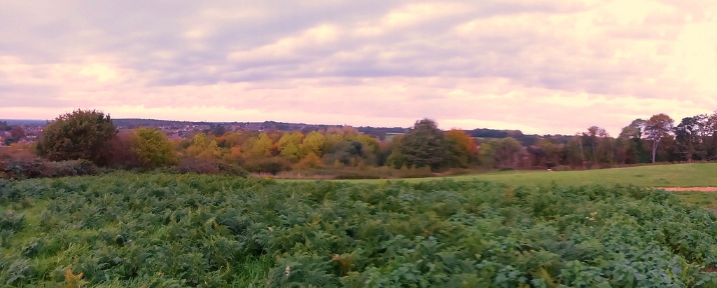 autumn panorama by quietpurplehaze
