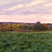 autumn panorama by quietpurplehaze