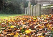 23rd Oct 2013 - Resting In Peace beneath the leaves