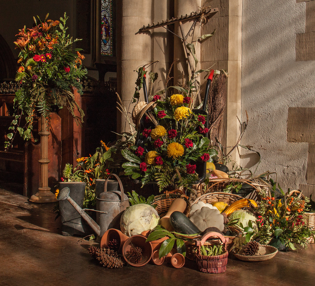 Harvest arrangement by dulciknit