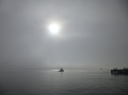 23rd Oct 2013 - Tug Boat in the Fog