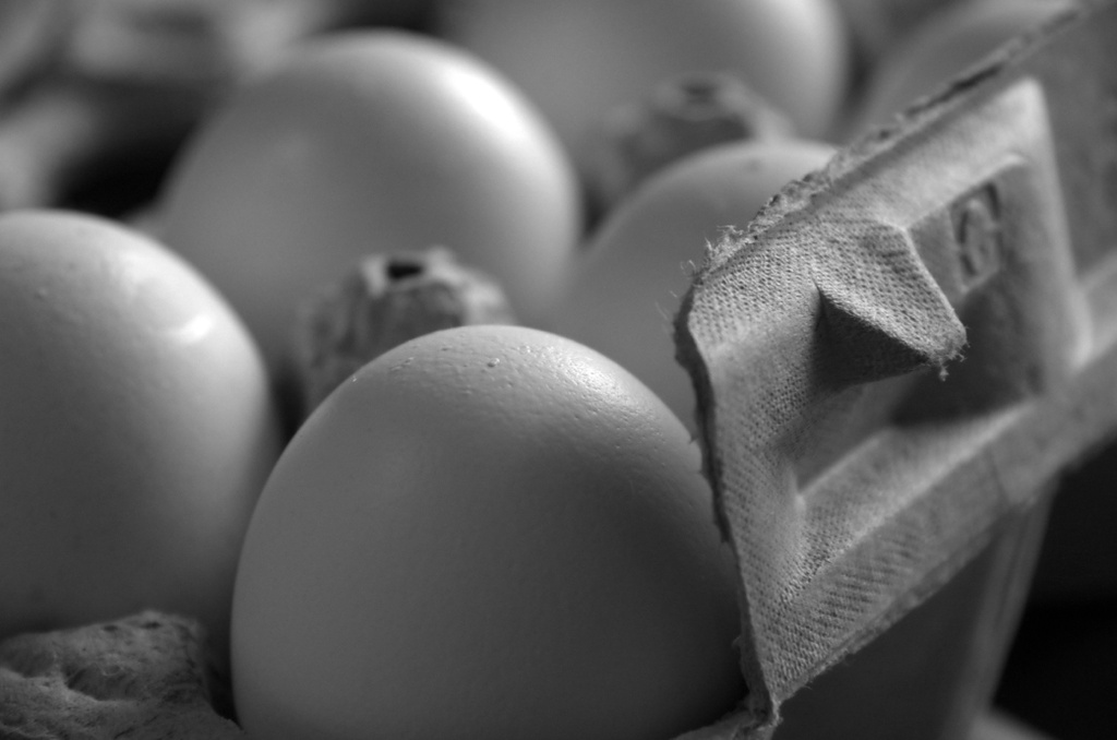 Carton of Eggs by houser934