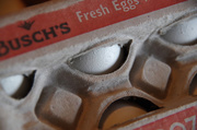 22nd Oct 2013 - Fresh Eggs