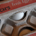 Fresh Eggs by houser934