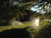 23rd Oct 2013 - Sunlight and Sprinklers II