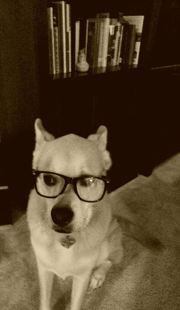 I Have a Smart Dog by darylo