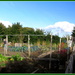 Working hard on the allotment by busylady