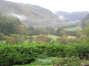 24th Oct 2013 - A Very Autumnal View