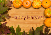 24th Oct 2013 - Happy Harvest :)
