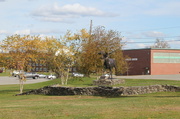 23rd Oct 2013 - Campus Moose