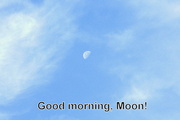 25th Oct 2013 - Good Morning, Moon!