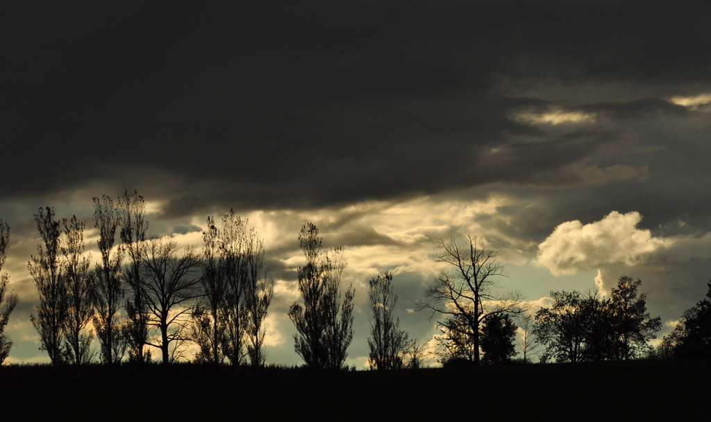 Dark Afternoon Skies by jayberg