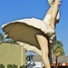 Marilyn Visits Palm Springs by joysfocus