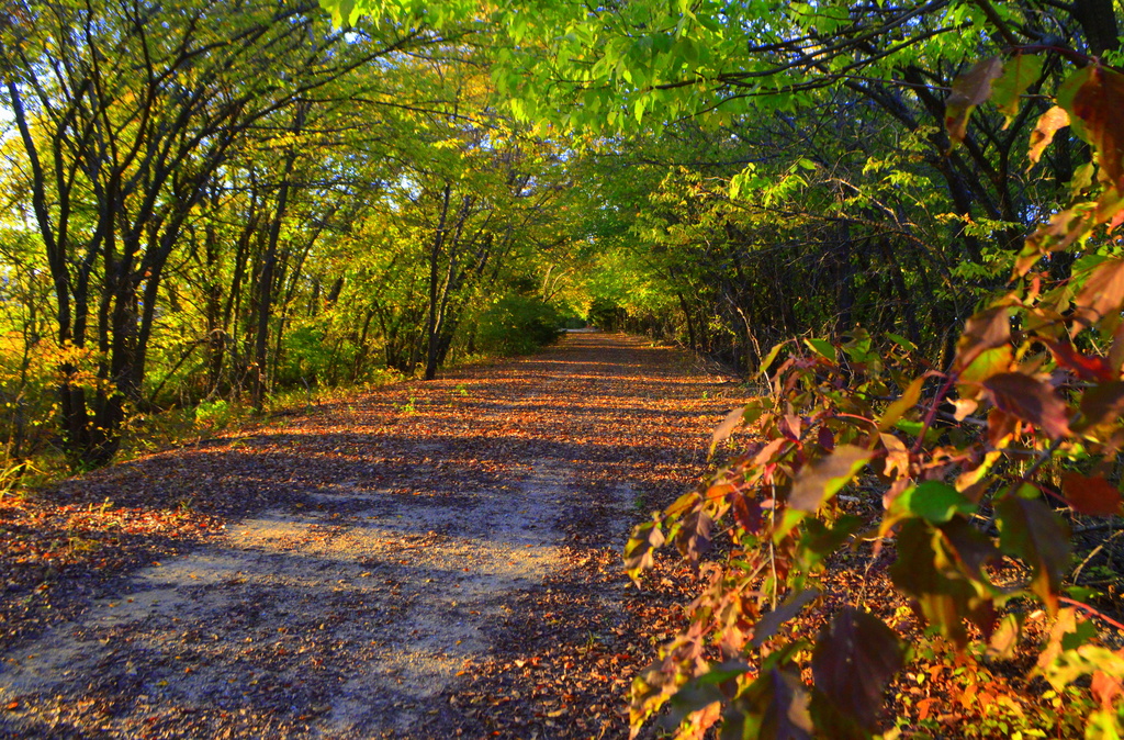 The Magical Flint Hills Nature Trail by kareenking